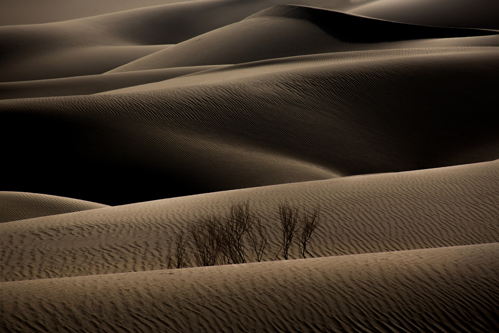 Wüste2 von Amin Dehghan