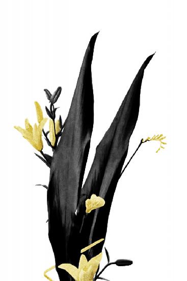 Blume Minimal Schwarz und Gold 03