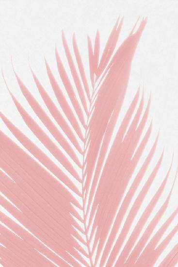 Rosa Palmblätter-Silhouette
