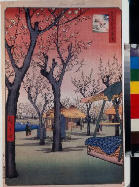Der Pflaumengarten in Kamata (Einhundert Ansichten von Edo)
