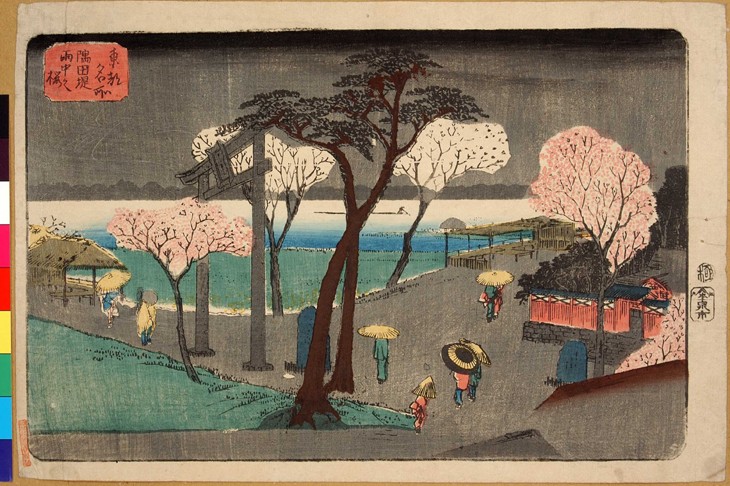 Kirschbäume im Regen entlang des Sumida-Flusses. (Sumida zutsumi uchû no sakura) von Ando oder Utagawa Hiroshige