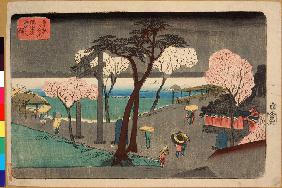 Kirschbäume im Regen entlang des Sumida-Flusses. (Sumida zutsumi uchû no sakura)