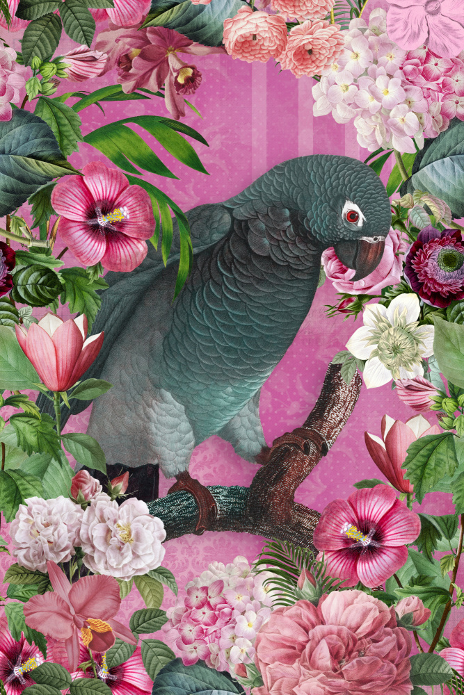 Der Papageienparadiesgarten 3 von Andrea Haase