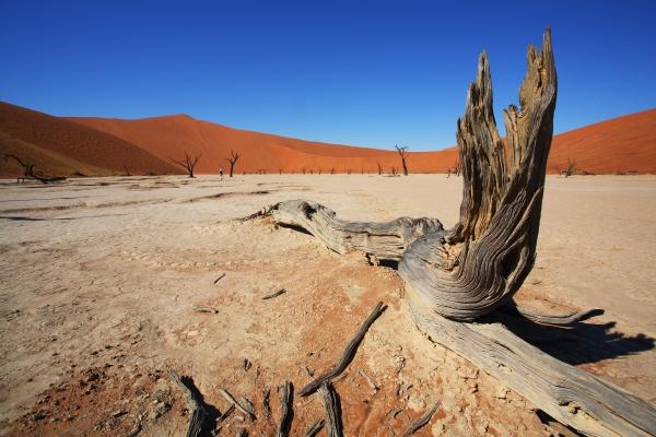 Deadvlei Namibia nahe Sossusvlei von Andreas Pollok