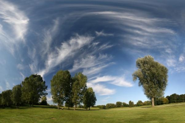 Landschaft - Wiese, Bäume, Zirruswolken von Andreas Weber