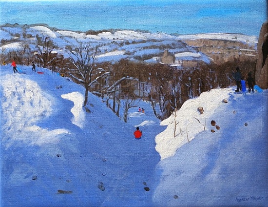 Gully, Black Rocks, Derbyshire von Andrew  Macara