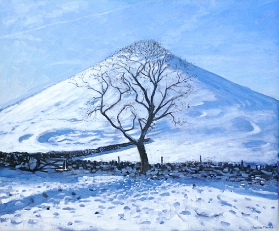 Hill and Tree, Derbyshire von Andrew  Macara