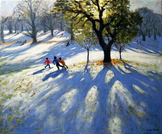 Markeaton Park, early snow von Andrew  Macara