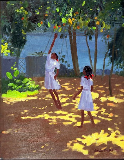 Reaching for Oranges, Bentota, Sri Lanka von Andrew  Macara