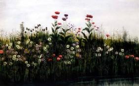 Poppies, Daisies and Thistles on a River Bank