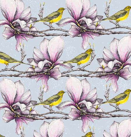 Magnolia and Yellow Wagtails 2019