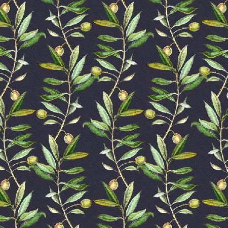 Olive branches 2017