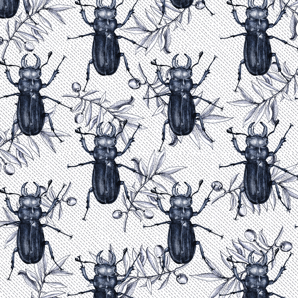 Stag Beetles von Andrew Watson