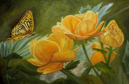 Schmetterling unter gelben Blumen