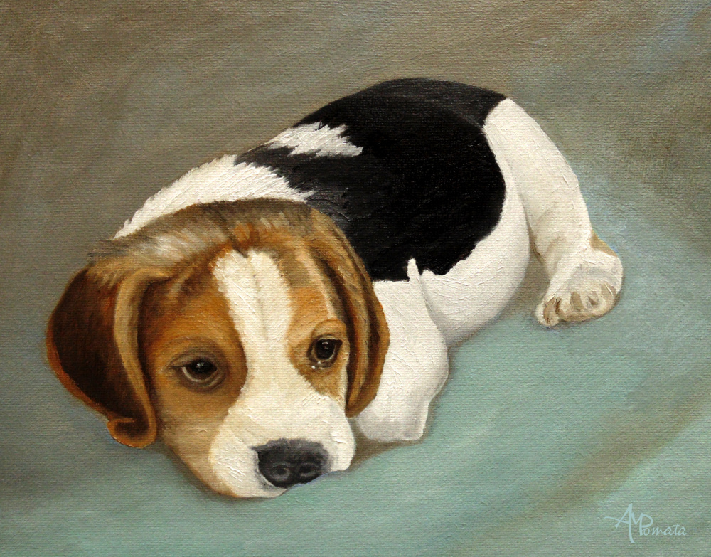 Süßer Beagle von Angeles M. Pomata