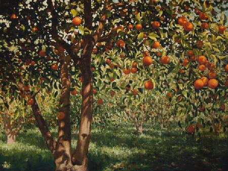 Silence under the oranges II 2012