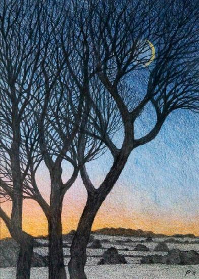 Trees and Moon 2015