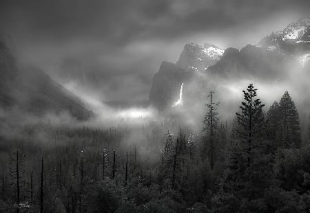 Nebliges Yosemite-Tal