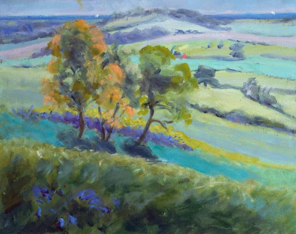 Towards Winchelsea, Sussex, with Bluebells in Spring (oil on canvas)  von Anne  Durham