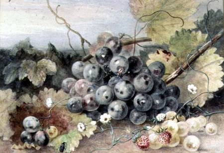 Grapes and Strawberries von Anne Frances Byrne
