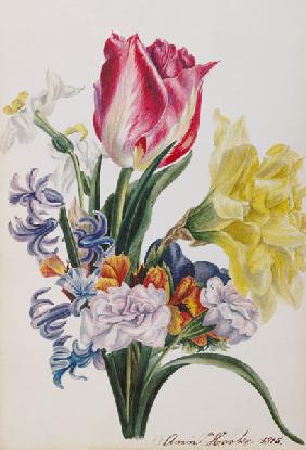 Spring Flowers 1815