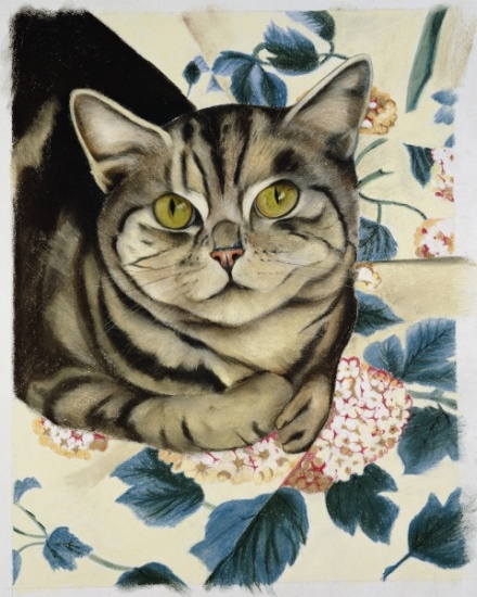 Tabby cat von Anne  Robinson
