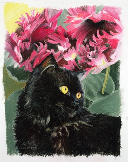 Black tulips von Anne  Robinson