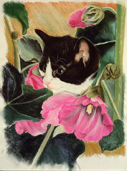 Kitten and hollyhocks von Anne  Robinson