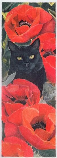 Black Cat with Poppies (pastel on paper) 