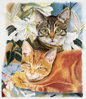 Franz Marc Postkarte 1909 Katzen auf rotem Tuch