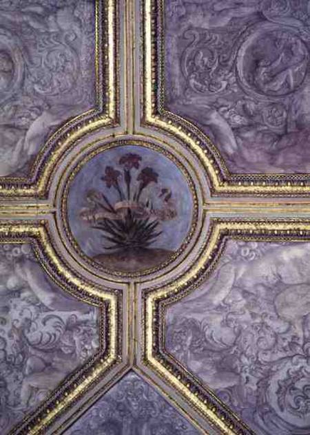 Floral ceiling decoration, from the 'Camerino' von Annibale Carracci