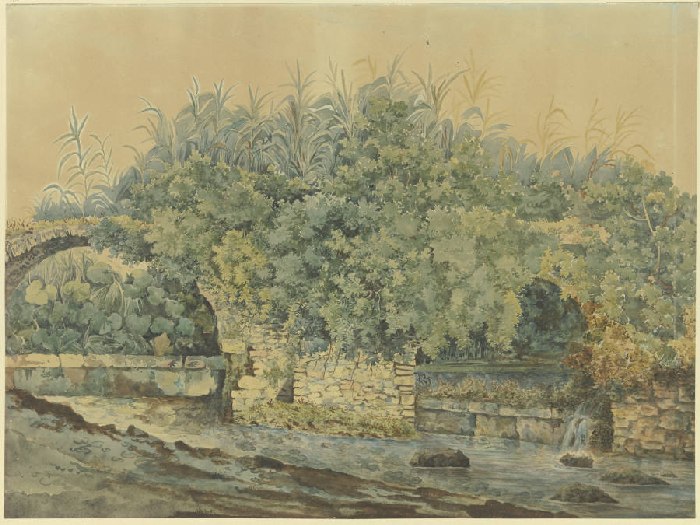Verfallene Steinbrücke über einen Bach, von Büschen und Pflanzen überwuchert von Anonym
