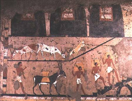 Agricultural scene, wall painting removed from the Mastaba of Ti at Sakkara, Old Kingdom von Anonymous
