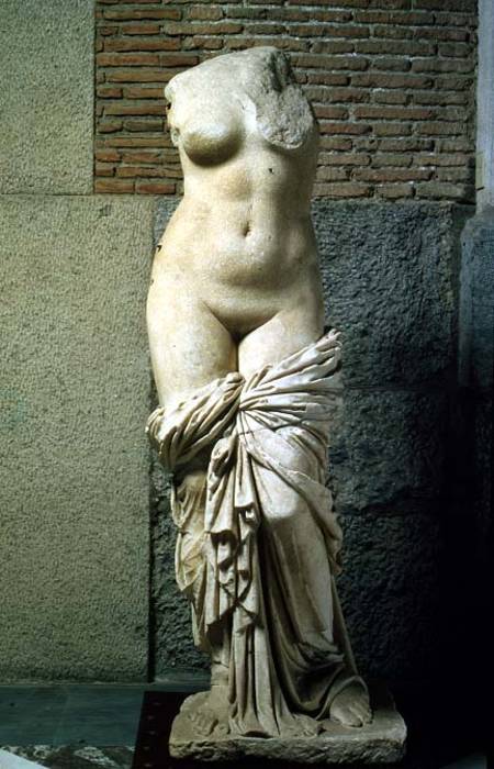 The Sinuessa Aphrodite von Anonymous