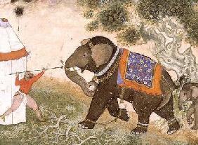 52.43 An enraged elephant, Mughal 1590