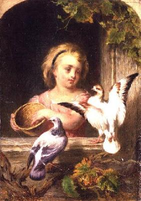 Girl Feeding Pigeons signed G.J.H.