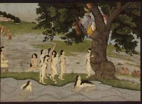 Krishna steals the clothes of Gopies, from the 'Bhagavata purana', Kangra, Himachal Pradesh, Pahari 1780
