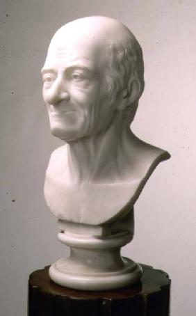 Marble bust of Voltaire c.1770