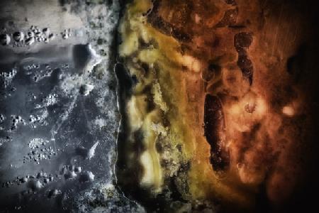 Other Worlds No 4 - Patterns in Old Food 2019