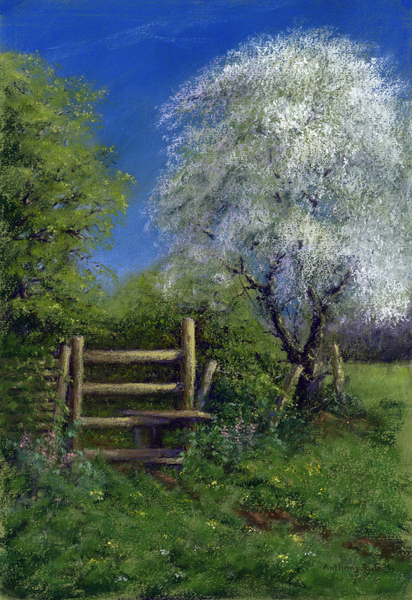 Springtime by the Stile von Anthony  Rule