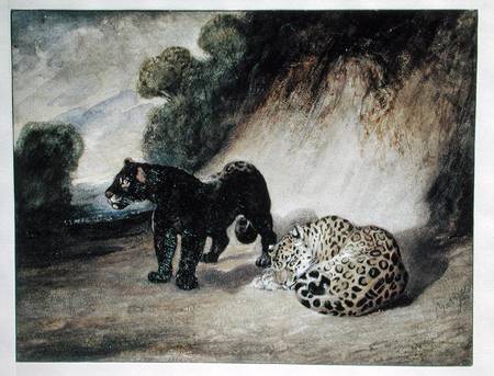 Two Jaguars from Peru von Antoine Louis Barye