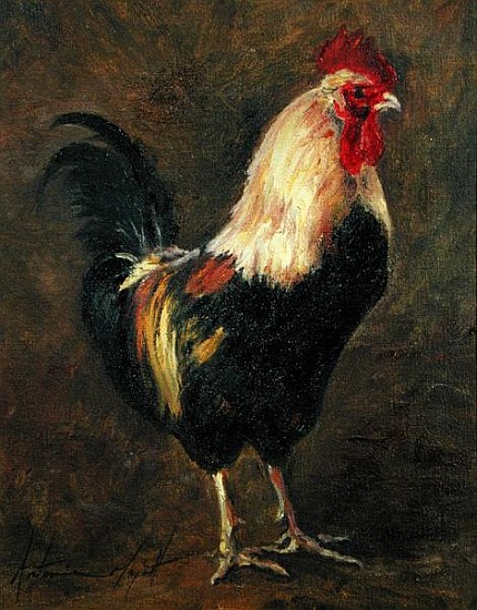 The Cockerel, 1999 (oil on canvas)  von Antonia  Myatt