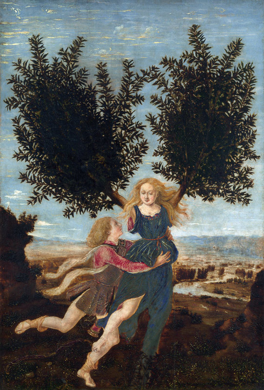 Daphne and Apollo von Antonio Pollaiolo