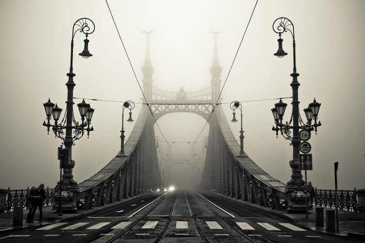 The Bridge von Armin Marten