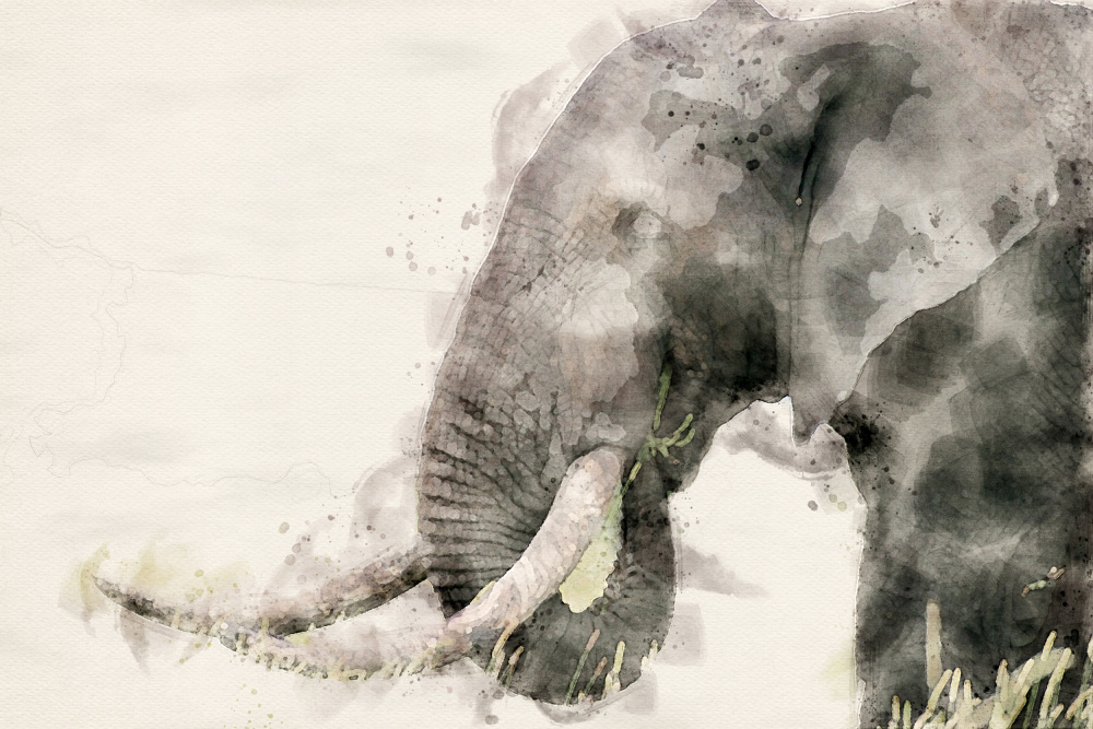 Abstrakte afrikanische Elefanten-Aquarellkunst von Arno Du Toit