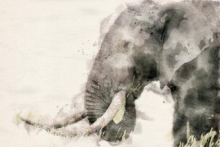 Abstrakte afrikanische Elefanten-Aquarellkunst