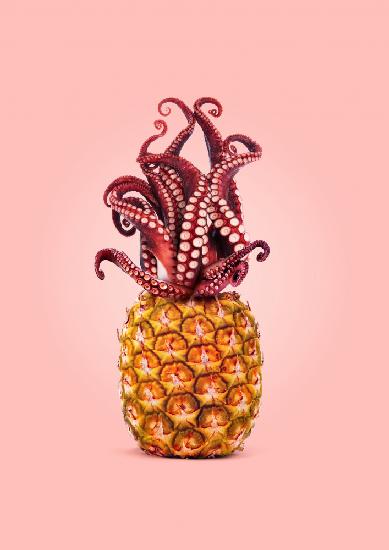 Oktopus-Ananas