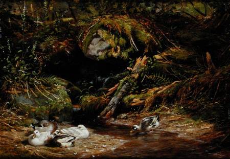 Ducks at the Spring Head von Arthur Fitzwilliam Tait