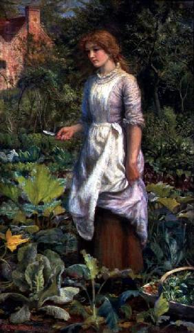 Phyllis c.1887