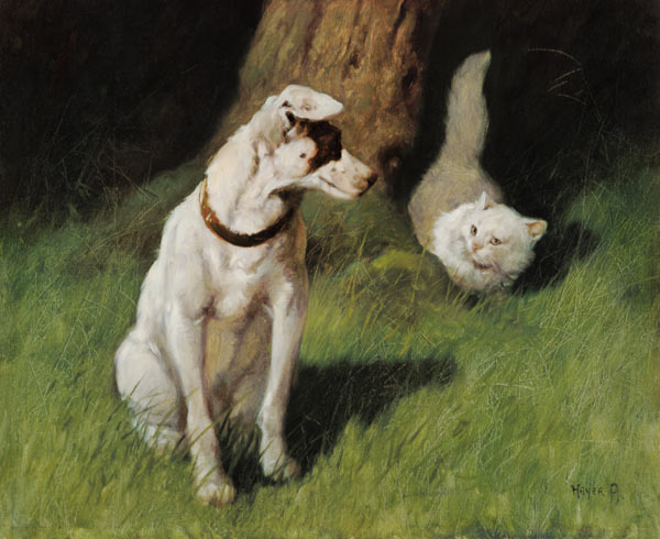White Persian Cat and Jack Russell von Arthur Heyer